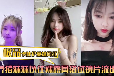 极品卡哇伊嫩妹网红养猪妹妹以往裸露网络试镜片流出